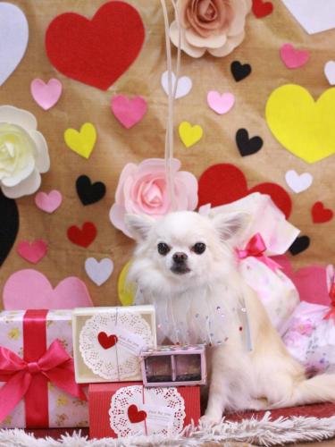 20230214りゅうくん